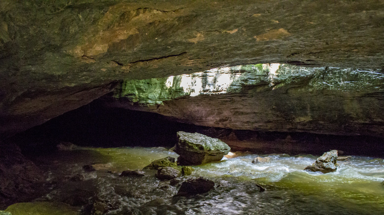 Underground cave at Rock Bridge Memorial State Park near Columbia, Missouri
