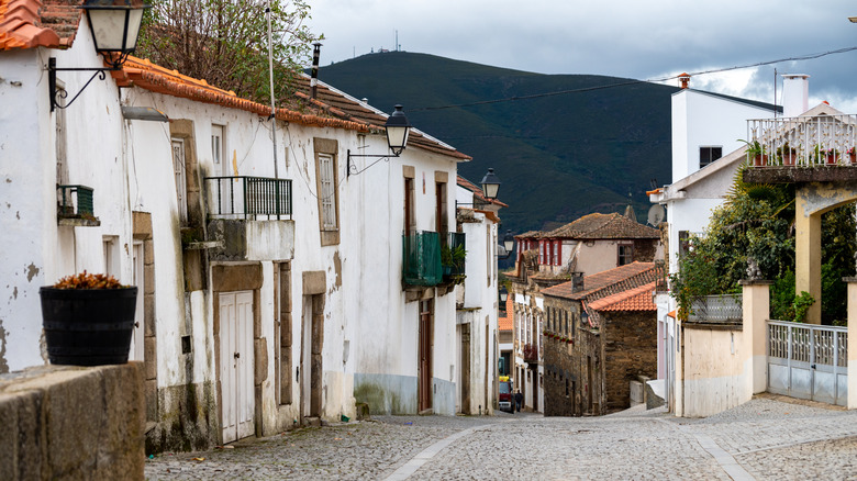 Views of the village buildings of Provesende