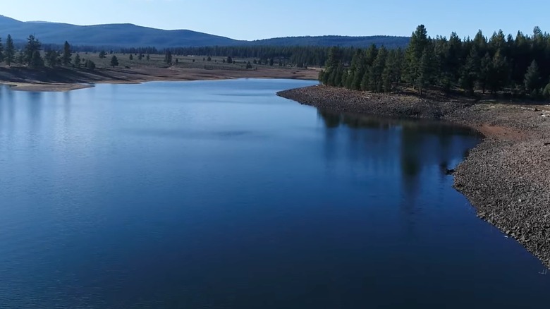 Prosser Creek Reservoir with a clear, light blue sky above and pine trees along the shores