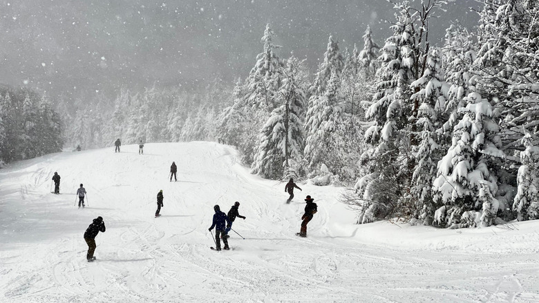 Skiers on the slopes of Okemo as it snows
