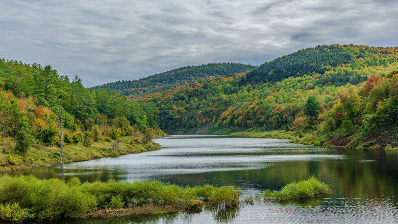 The West River flowing through Green Mountain National Forest