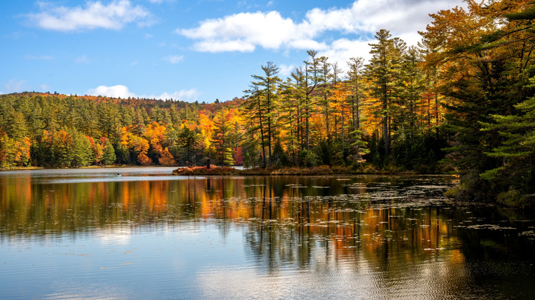 Orange fall foliage along Lowell Lake in autumn