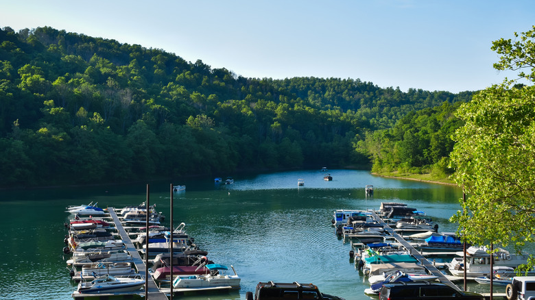 Tygart Lake's marina