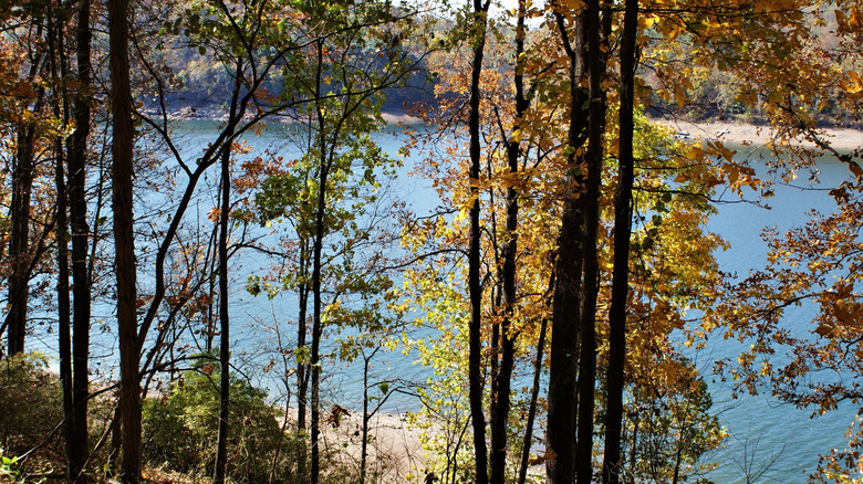 Tyrart Lake State Park in autumn