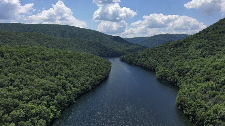 An aerial view of the river and trees that makeup Big Run State Park.