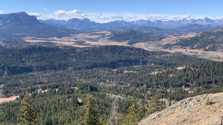 Forest and mountain landscapes from a viewpoint in Beauvais Provincial Park