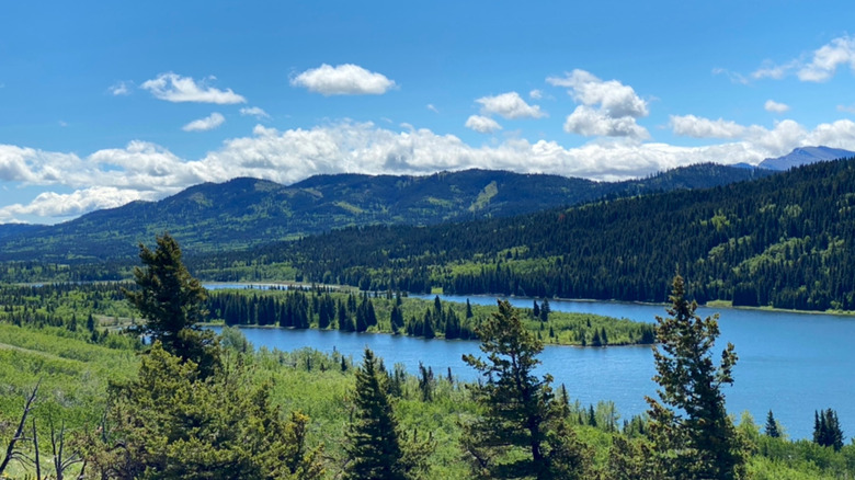 Beauvais Lake, surrounded by trees and hills, at Beauvais Provincial Park in Alberta