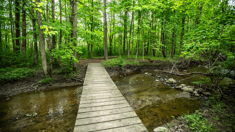 Park trail in New Berlin, Wisconsin