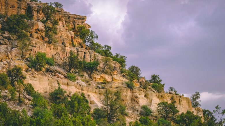 Keams Canyon Mesa mountainous view with shrubs