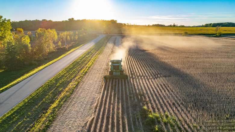A tractor harvesting in the sunshine in Luxemburg, Wisconsin