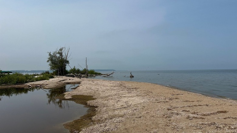 The sandy shoreline of Green Bay at Red River County Park in Luxemburg, Wisconsin
