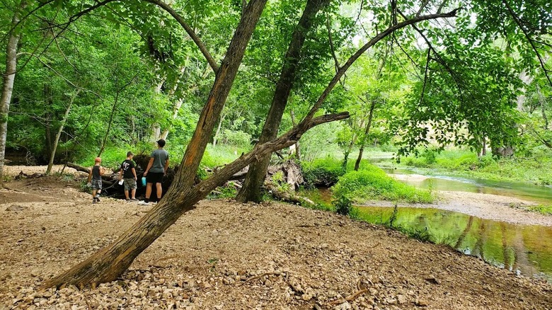 A few hikers standing next to a creek surrounded by woodlands at Valley Water Mill Park in Springfield, Missouri