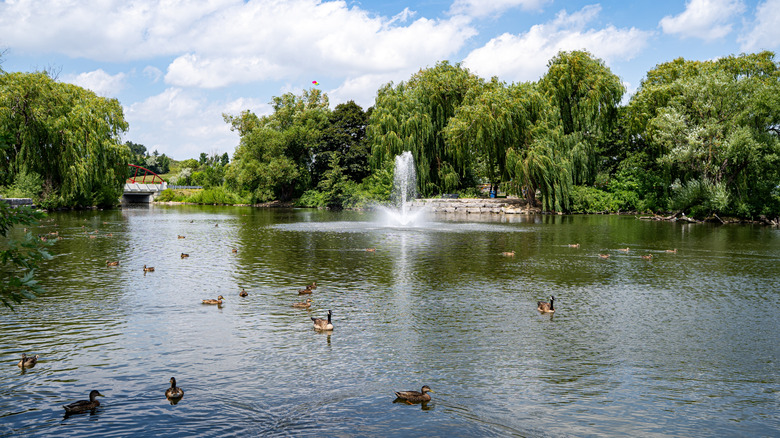 View of the pond at Chinguacousy Park in Brampton, Ontario