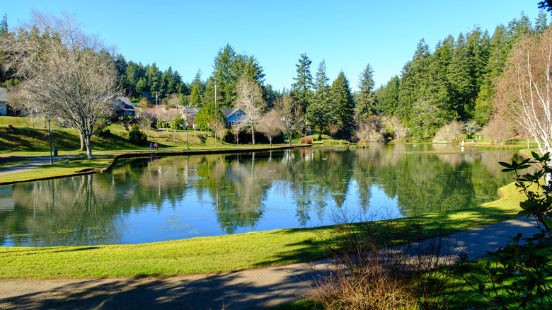 Pond surrounded by trees at Mingus Park