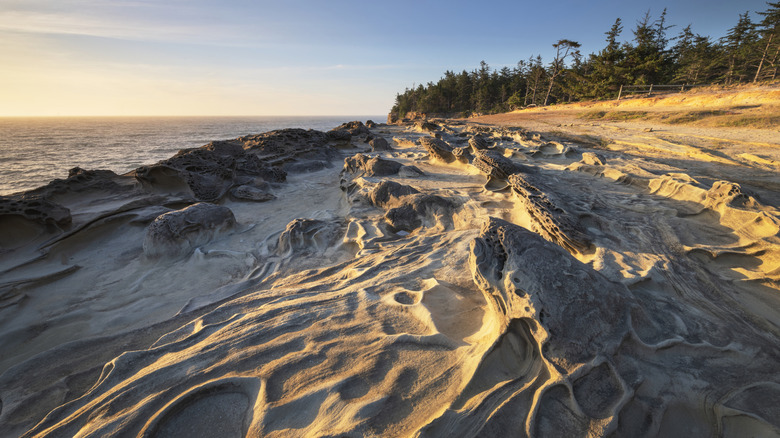 Sand formations at Shore Acres State Park, Coos Bay