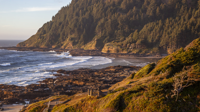 Tree-covered mountains descend into the sea along Cape Perpetua