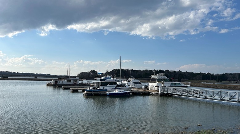 Marina at Lake Eufaula, Lakepoint State Park, Alabama, with boats docked on a cloudy day