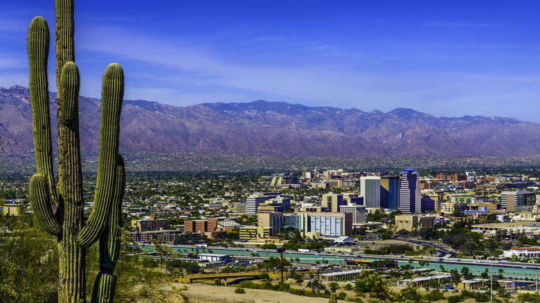 Tucson, Arizona city skyline framed by mountains and a saguaro
