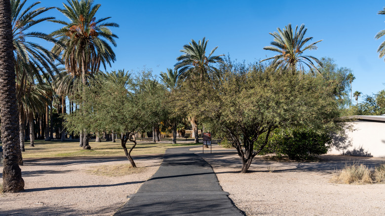 A paved trail through Agua Caliente Regional Park in Tucson, Arizona