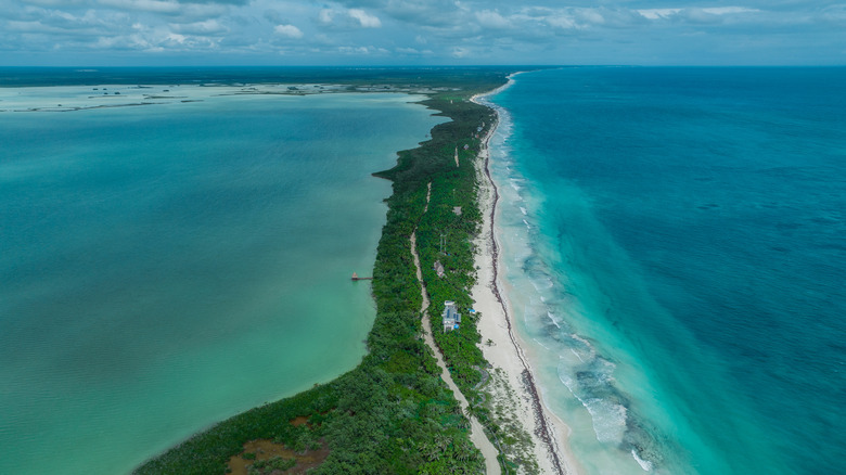 Aerial view of the Punta Allen peninsula and sandy road