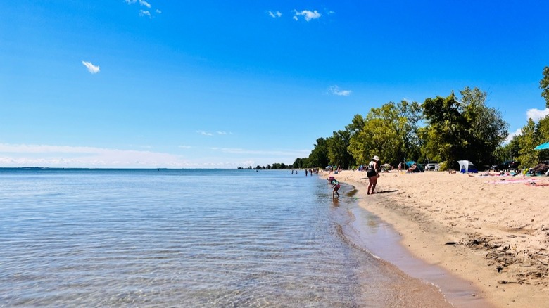 Families enjoying the beach at Turkey Point Provincial Park