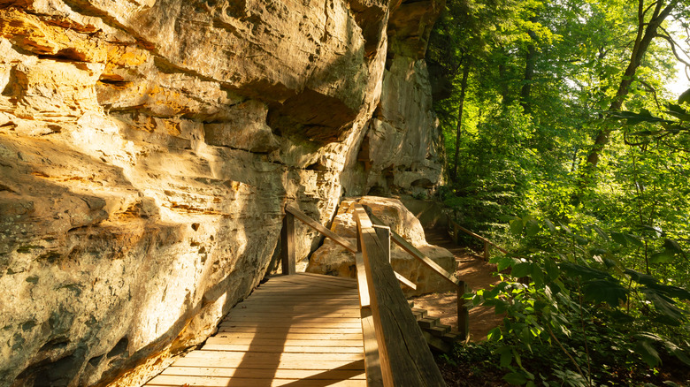 A hiking trail along a sandstone ravine in Turkey Run State Park