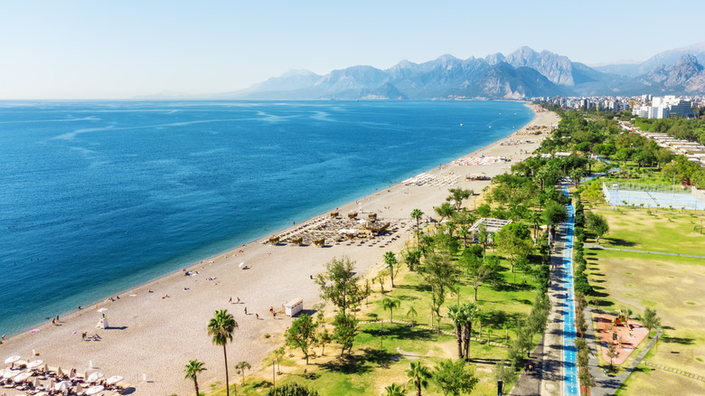 A miles-long beach backed by trees with mountains in the distance