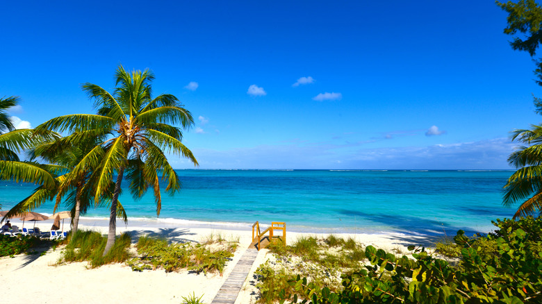 Palm trees and beachside view of Grace Bay Beach