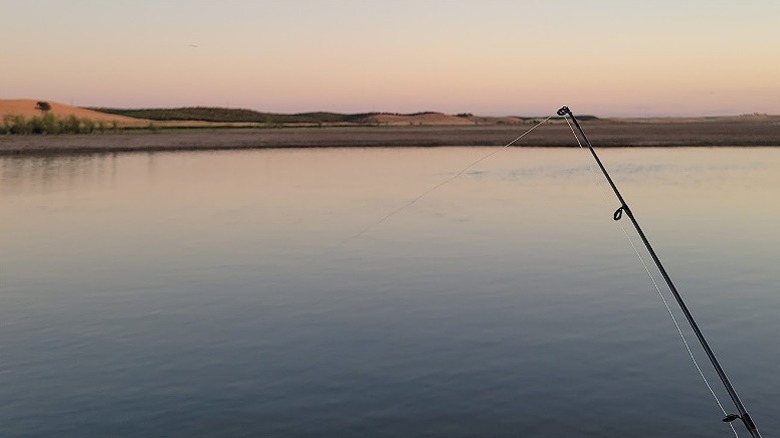A fishing line cast out into Turlock Lake with shoreline in the distance.