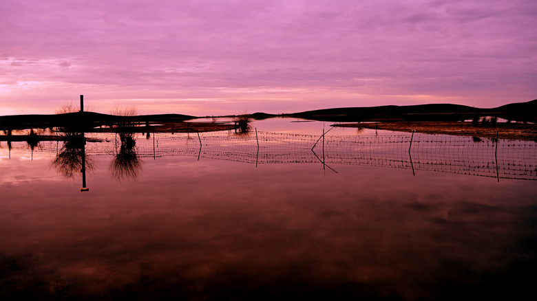 Beautiful pink and purple hues in a cloudy sky during sunset at Turlock Lake, California.