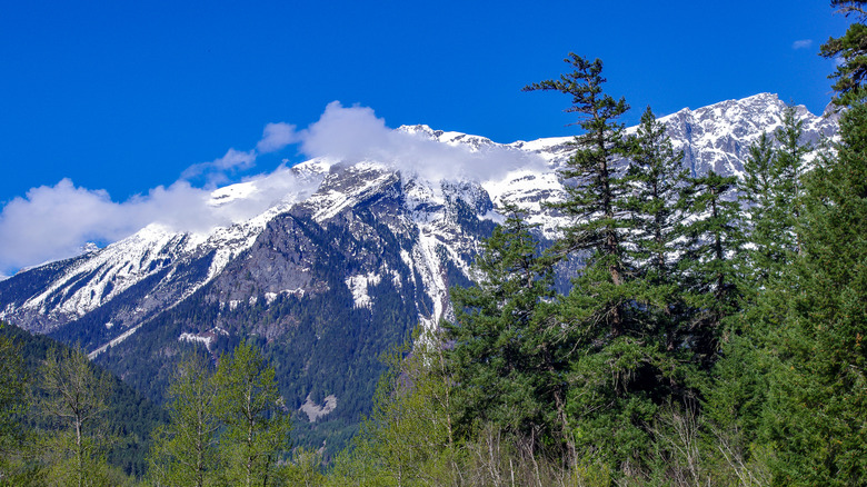 Snow-capped mountains within the Tweedsmuir Provincial Park