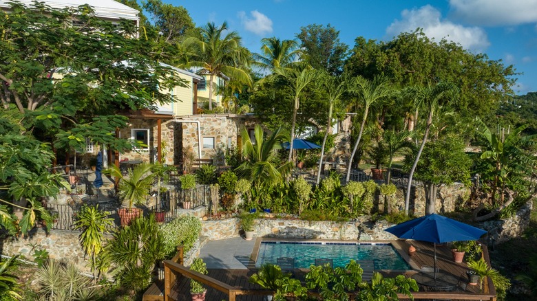 View of the pool surrounded by greenery at Estate Lindholm