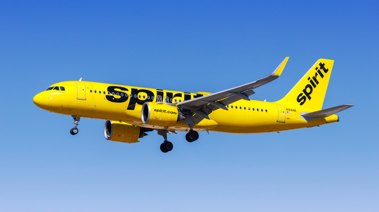 Spirit Airlines flight in the air