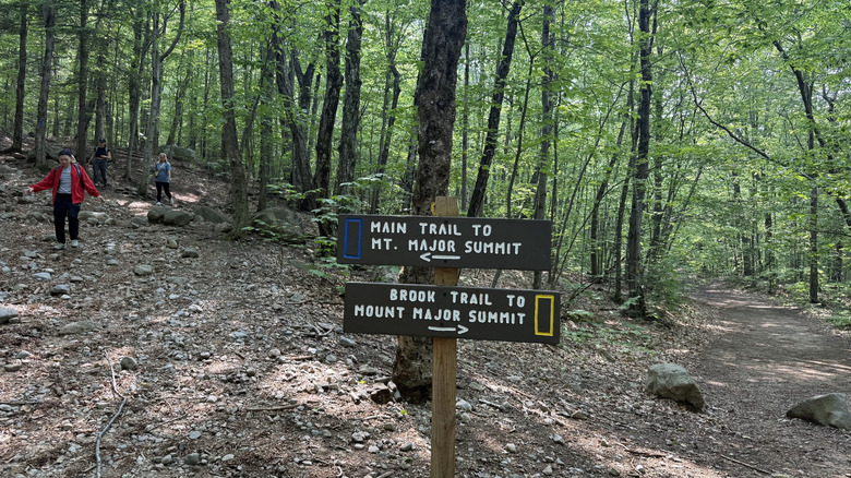 Trail signs and hikers in Mount Major State Forest in Alton, New Hampshire
