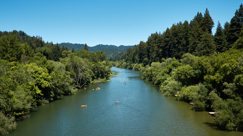 Kayakers on the Stanislaus River surrounded by trees in California