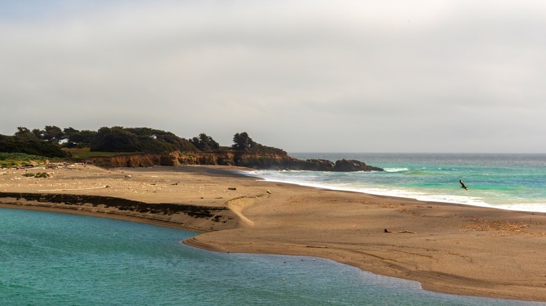 The mouth of the Gualala River meets the ocean at Gualala Point Regional Park