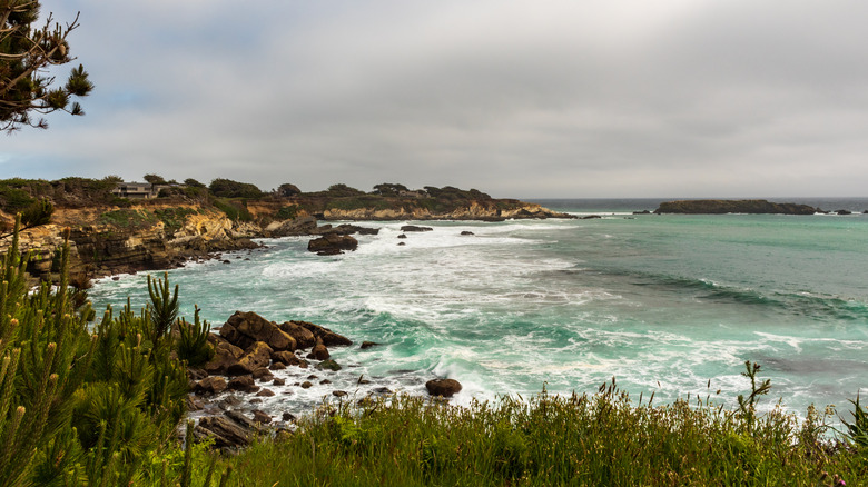 Rough waves crash along the Bluff Top Trail at Gualala Point Regional Park