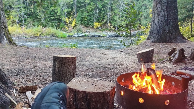Fire ring near sawed logs at a campground along the St. Joe River, St. Joe National Forest, Idaho