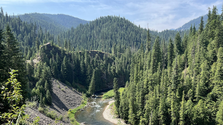 St. Joe River cuts through a forested valley in North Idaho under blue skies in the St. Joe National Forest