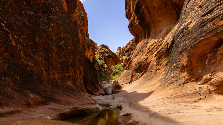 View of the slot canyon in the Red Cliffs National Conservation Area