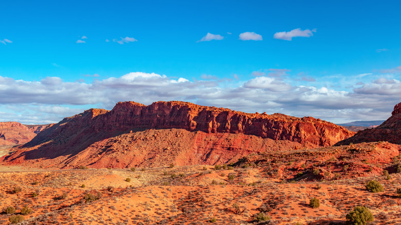 View of the fiery Red Cliffs National Conservation Area