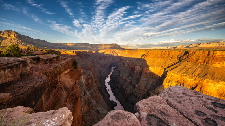 View above the Grand Canyon North Rim