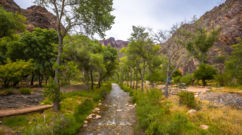 Creek near Bright Angel Campground