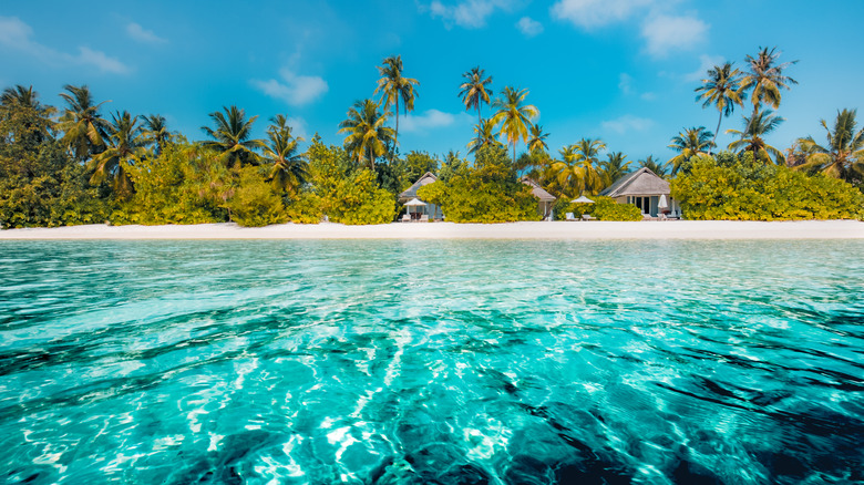 Caribbean tropical shoreline