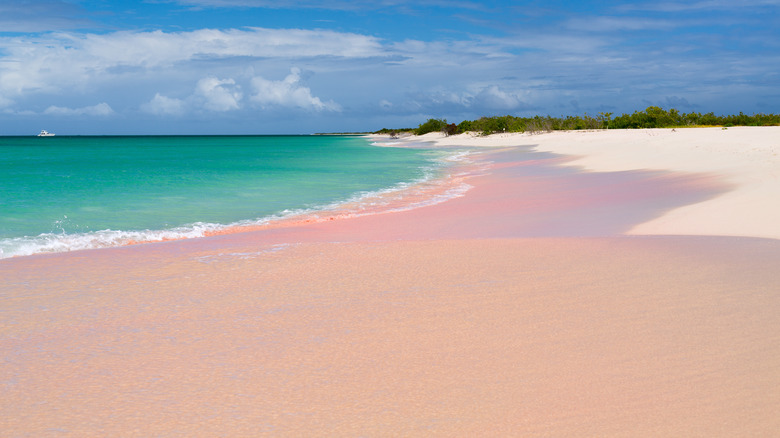 Pink sand at Barbuda beach