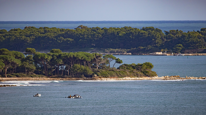 Small boats sailing near the lush coast of Île Sainte-Marguerite