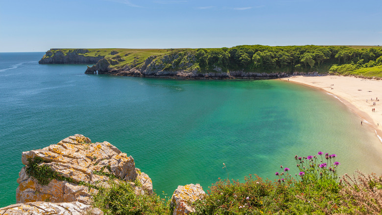 The sweep of sand cradled by cliffs at Barafundle Bay