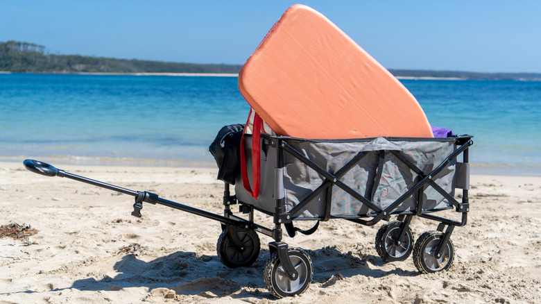 Pregnant woman pulling beach wagon