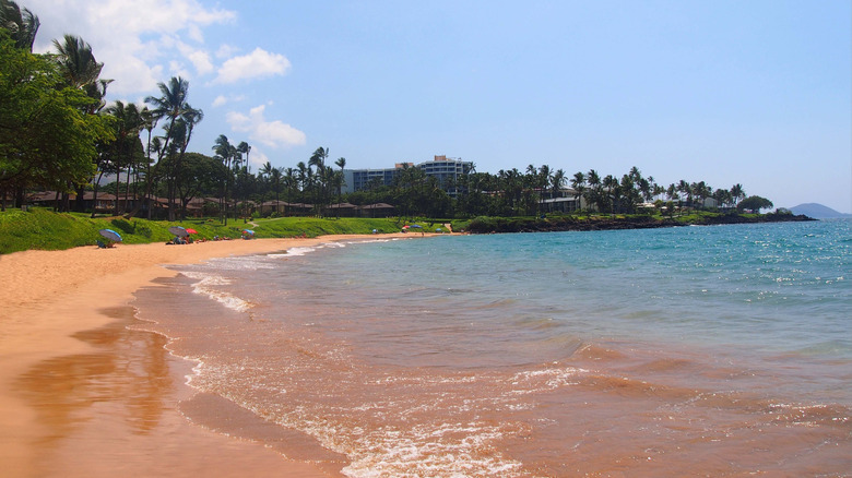 Sandy shore and blue waters at Ulua Beach in Maui