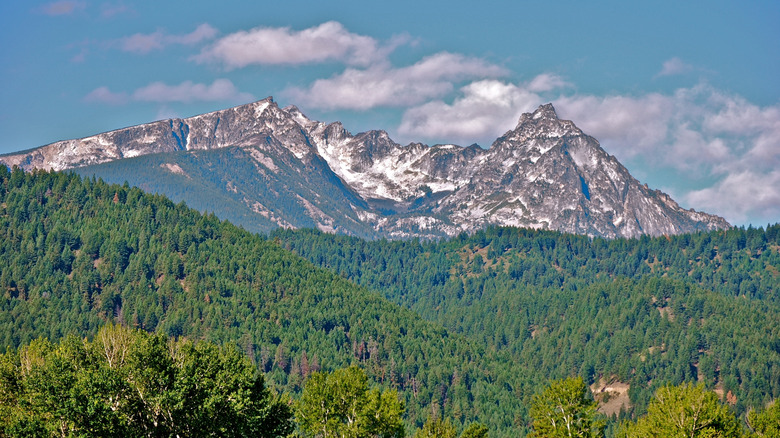 Snow on the top of Trapper Peak with wooded mountains below it